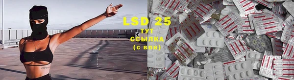 ALPHA PVP Белокуриха