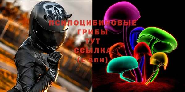 ALPHA PVP Белокуриха
