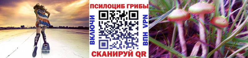 Галлюциногенные грибы GOLDEN TEACHER  Липецк 